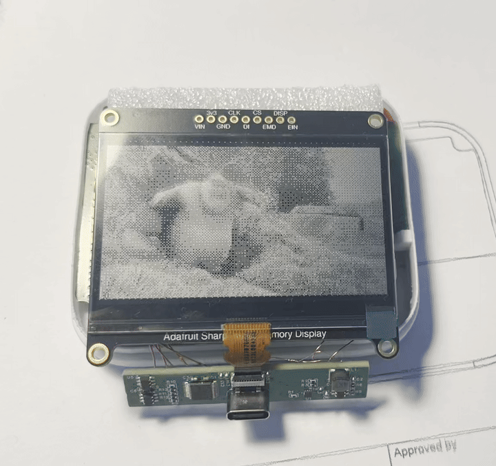 Big buck bunny looking great (played by stock MPV with DRM output)